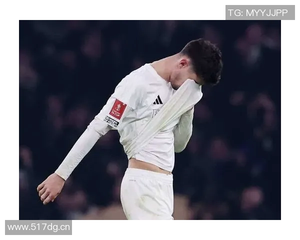 德转数据揭示枪手蓝军近年重磅转会科尔切赫若鸟哈弗茨成焦点