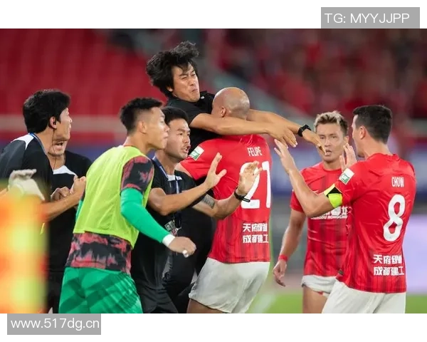 携手共进迎新篇章祝武汉三镇足球俱乐部12岁生日快乐